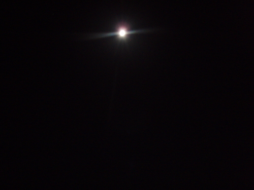 b0121015_11292470.jpg