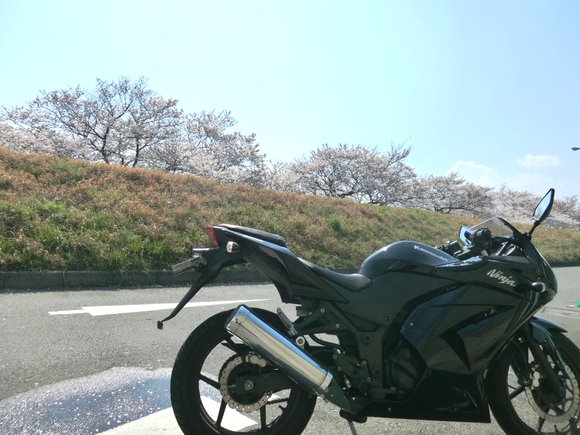 d0221319_9124448.jpg