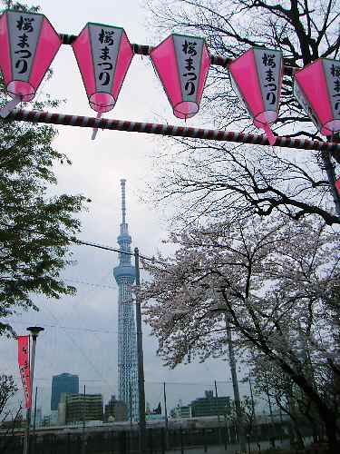 e0047322_0263752.jpg