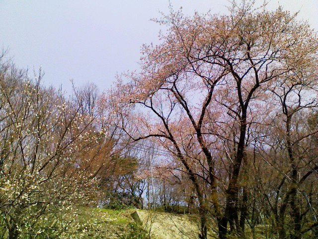 a0134323_13105960.jpg