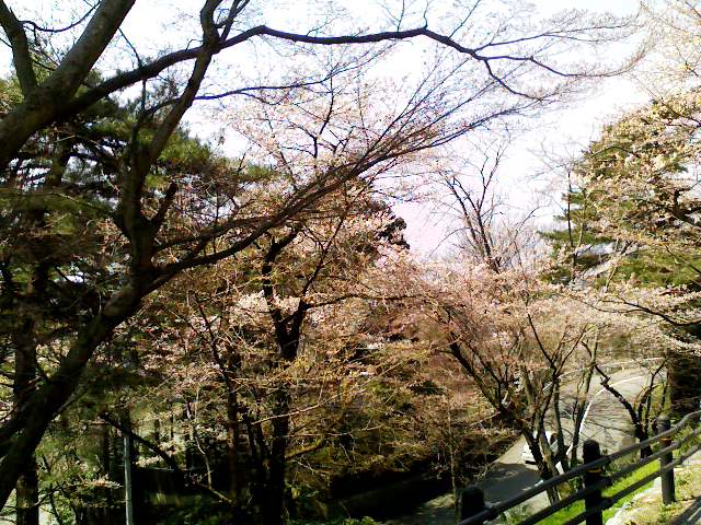 a0134323_13105980.jpg