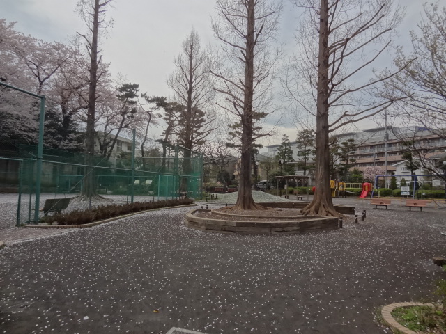 e0016828_11321454.jpg
