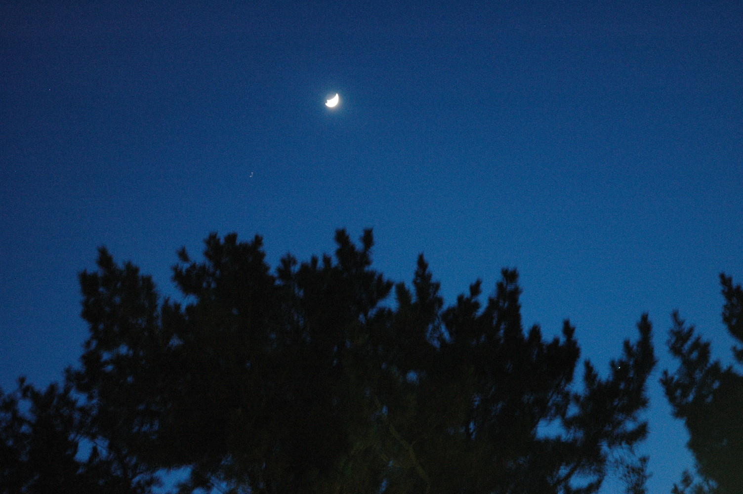 d0241833_20324596.jpg