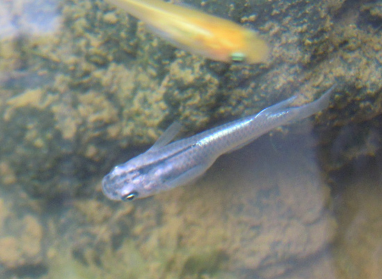 e0097534_16113993.jpg