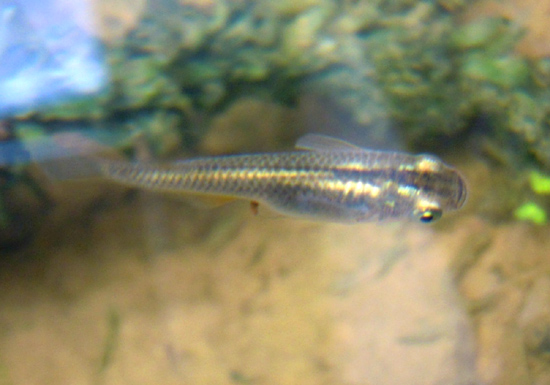 e0097534_16273774.jpg