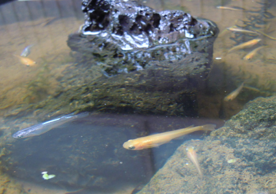 e0097534_16341810.jpg