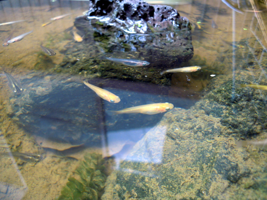 e0097534_16596.jpg