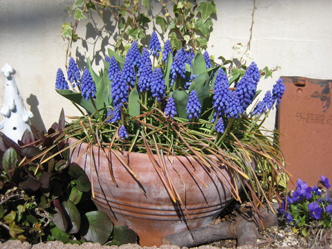 f0061334_21143314.jpg