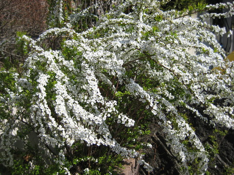 f0061334_21145297.jpg