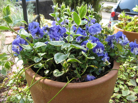 f0061334_21152065.jpg