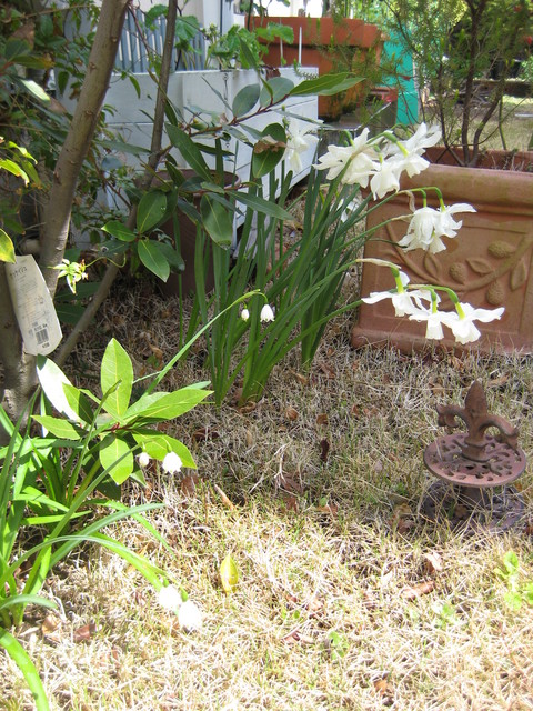 f0061334_21154693.jpg