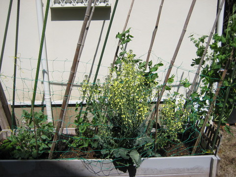 f0061334_21155197.jpg