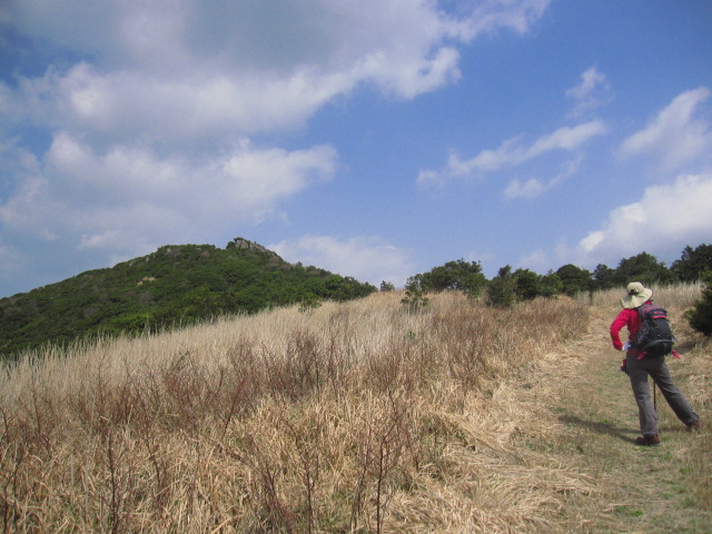 d0088735_21103239.jpg