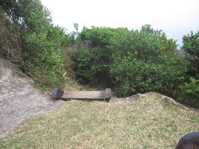 d0088735_21121611.jpg