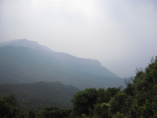 d0088735_21134870.jpg