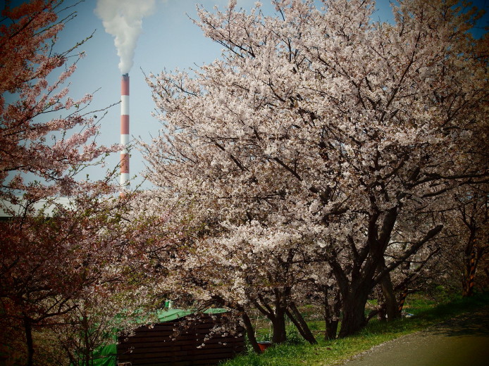 d0241937_1952036.jpg