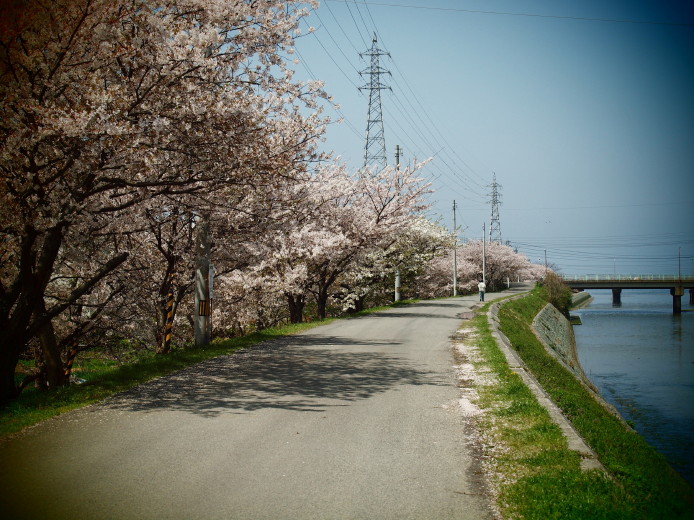 d0241937_1954717.jpg