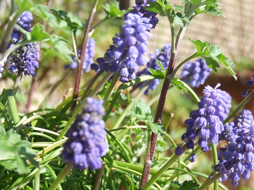 b0089338_22555832.jpg