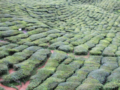 c0068639_23364987.jpg