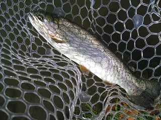 f0065341_17355684.jpg