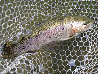 f0065341_17362141.jpg