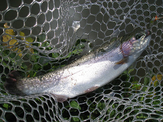 f0065341_17365458.jpg