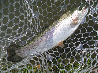 f0065341_17403710.jpg