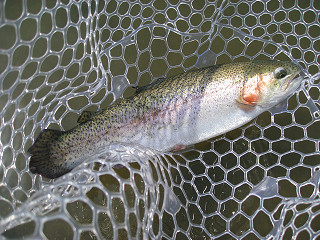 f0065341_17405790.jpg