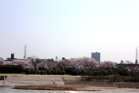 f0119244_21484795.jpg
