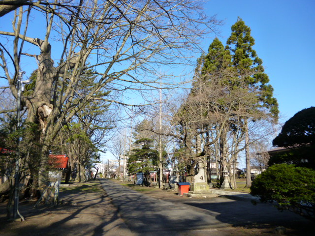 b0238249_20395650.jpg