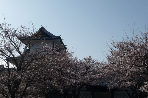 e0002850_20404321.jpg