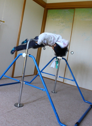 a0090451_1573825.jpg