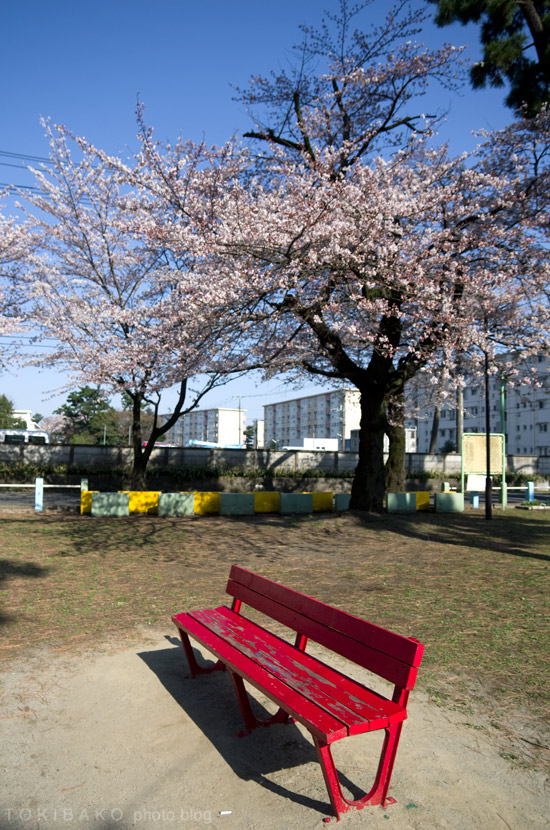 d0100156_222673.jpg