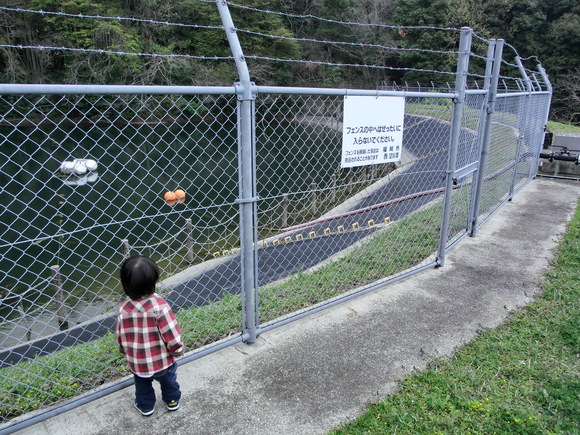 f0201157_9582638.jpg