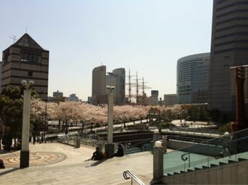 c0102268_22412443.jpg