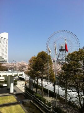 c0102268_2242150.jpg