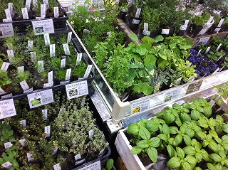 c0151169_9431698.jpg
