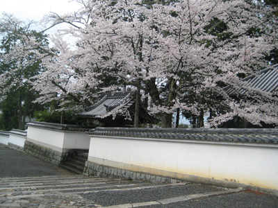 c0117570_13432753.jpg