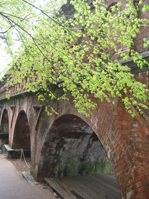 c0117570_13472887.jpg