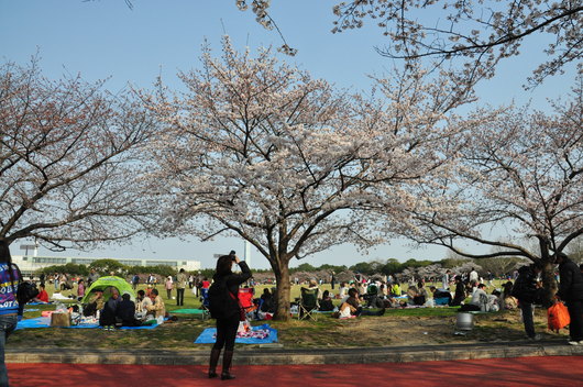 f0029271_11252486.jpg