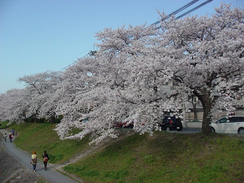 b0194872_2239324.jpg