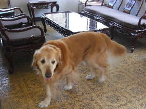 d0116578_2010561.jpg