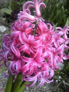 a0243983_21535380.jpg