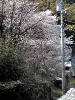 b0206784_17505424.jpg