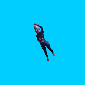 d0060984_18431411.gif