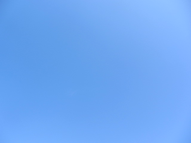 b0202185_16414618.jpg