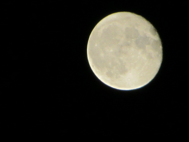 b0202185_1645569.jpg