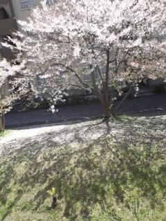 c0035386_1423078.jpg
