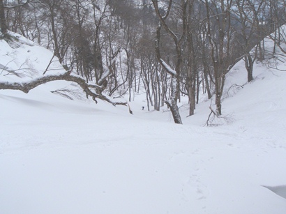 c0018489_042437.jpg