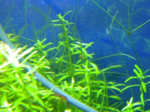 f0138093_01479.jpg
